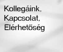 Kapcsolat