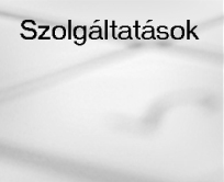 Szolgaltatasok