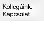 Kapcsolat